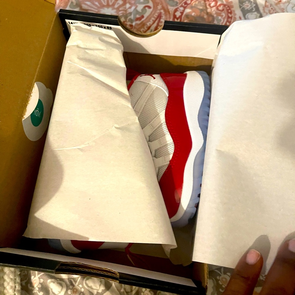 Air Jordan Concord Cherry 11s New Release